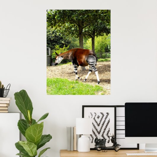 Poster Okapi à pied (Bureau à domicile)