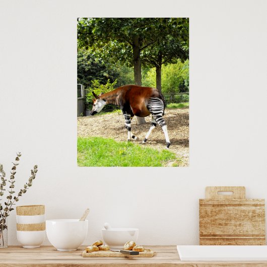 Poster Okapi à pied (Cuisine)