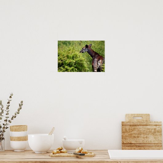 Poster Okapi dans la végétation (Cuisine)