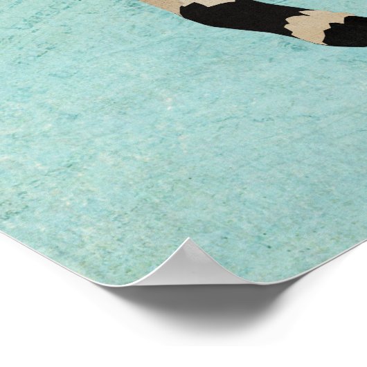 POSTER OKAPI & FEATHERS (Coin)