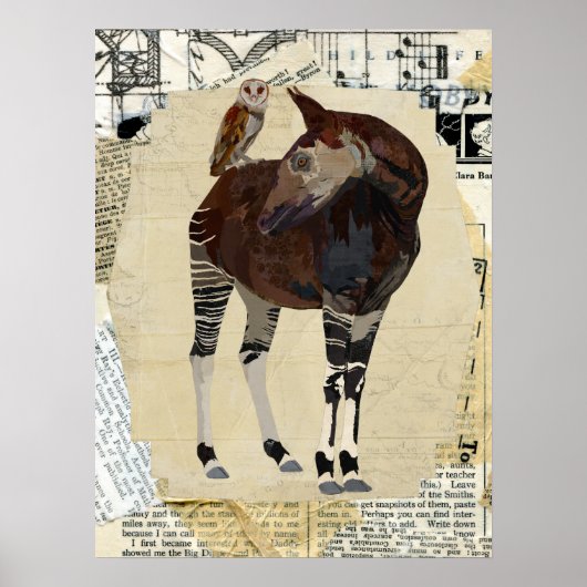 Poster OKAPI & OWL Art (Devant)