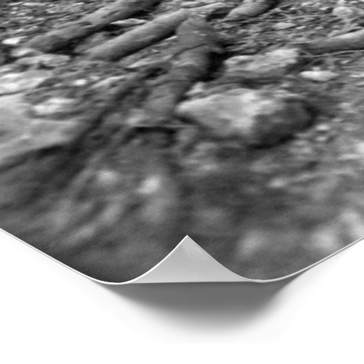 Poster Okinawa (Coin)