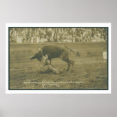 Poster Oklahoma Culy corrige. (Devant)