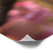 Poster Oklahoma Redbud Blossoms II (Coin)