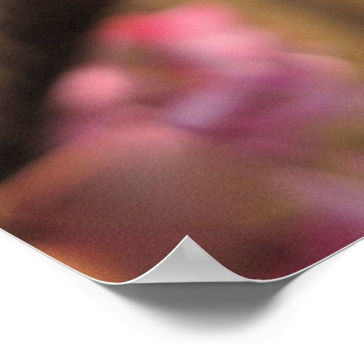 Poster Oklahoma Redbud Blossoms II (Coin)