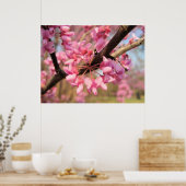 Poster Oklahoma Redbud Blossoms II (Cuisine)