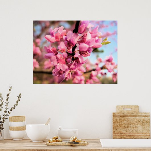 Poster Oklahoma Redbud Print (Cuisine)
