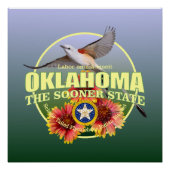 Poster Oklahoma State Bird & Flower (Devant)