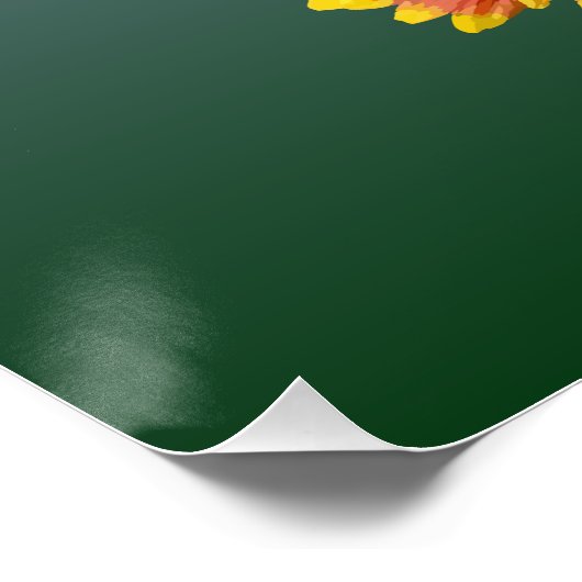 Poster Oklahoma State Bird & Flower (Coin)