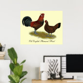 Poster Old Anglais Pheasant Fowl (Bureau à domicile)