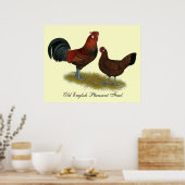 Poster Old Anglais Pheasant Fowl (Cuisine)