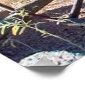 Poster Old Arizona Wagon (Coin)