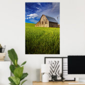 Poster Old Barn Surrounded by Spring Wheat Field 1 (Bureau à domicile)