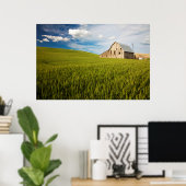 Poster Old Barn Surrounded by Spring Wheat Field 2 (Bureau à domicile)