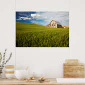 Poster Old Barn Surrounded by Spring Wheat Field 2 (Cuisine)