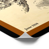 Poster Old Election Elephant & Donkey Vote Fishing (copie (Coin)