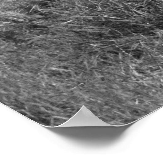 Poster Old Fence (Coin)