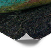 Poster Old fishing boats (Coin)