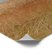 Poster Old Historic Home (Coin)