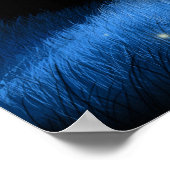 Poster Old Locust Hill (Coin)