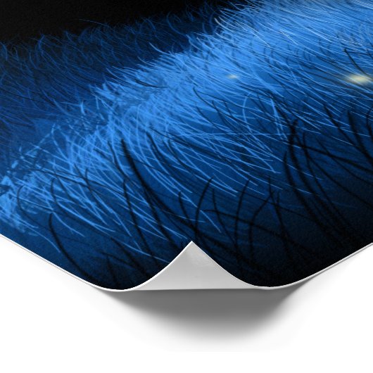 Poster Old Locust Hill (Coin)