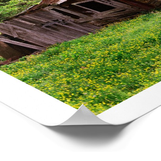 Poster Old Log Cabin (Coin)