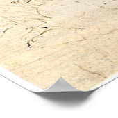 Poster Old Man and Water Sketch par Leonardo da Vinci (Coin)