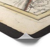 Poster Old Map of Belgium and Netherlands from 1702-1707 (Coin)