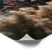 Poster Old Mermaid (Coin)