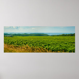 Poster Old Mission Peninsula, Michigan