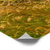 Poster Old Mission Peninsula, Michigan (Coin)