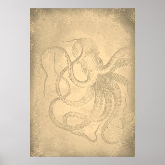 Poster Old octopus Sea life | Vintage Paper (Devant)