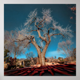 Poster Old Roots of Canyon Road