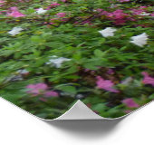 Poster Old Savannah (Coin)