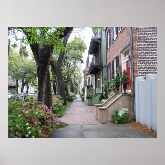 Poster Old Savannah (Devant)