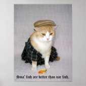 Poster Old Scottish Fold Dire (Devant)