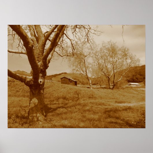 Poster Old Shed (Devant)