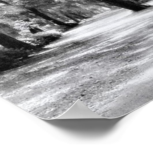 Poster Old Southern Walkway (Coin)