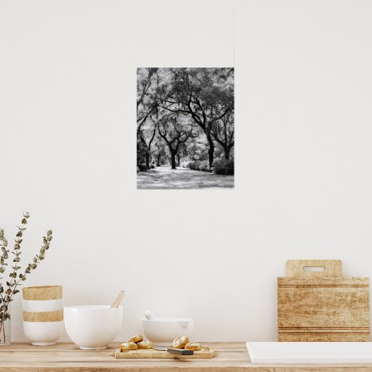 Poster Old Southern Walkway (Cuisine)