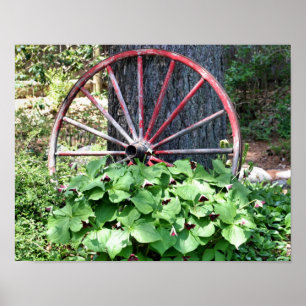 Poster Old Wagon Wheel Trillium Flower Garden