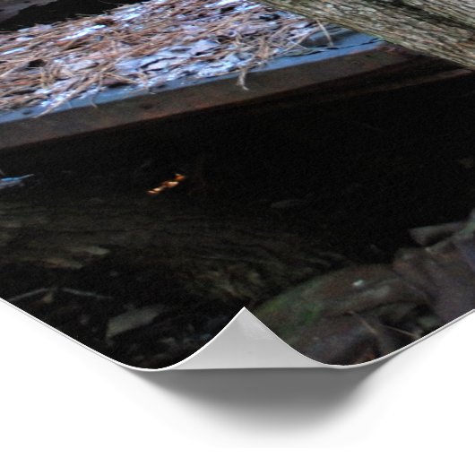 Poster Old Wrecked Station Wagon (Coin)