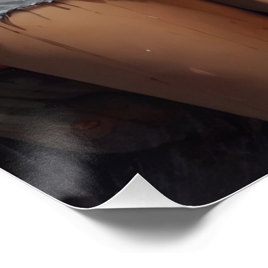 Poster oldtimer pinup nostalgie KUNSTBLOND (Coin)