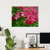 Poster Oleander (Nerium oleander) Blossom (Thuiskantoor)