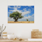 Poster Olive (Cuisine)