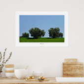 Poster Olive (Cuisine)