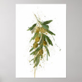 Poster Olive Branch (Devant)