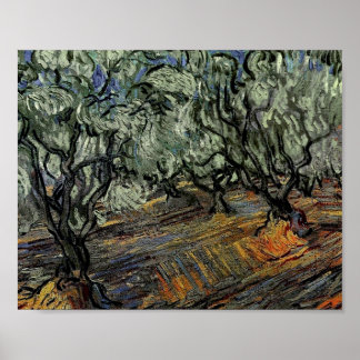 Poster Olive Grove, ciel bleu vif Van Gogh Art