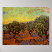 Poster Olive Grove, Ciel orange par Vincent van Gogh (Devant)