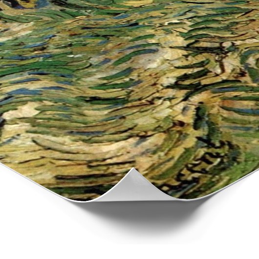 Poster Olive Grove par Vincent van Gogh (Coin)