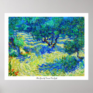 Poster Olive Grove par Vincent Van Gogh